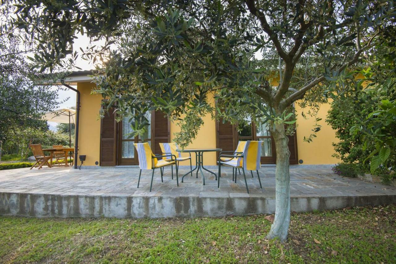 Agrialpi By Salfrutta Bed & Breakfast Bricherasio Eksteriør bilde