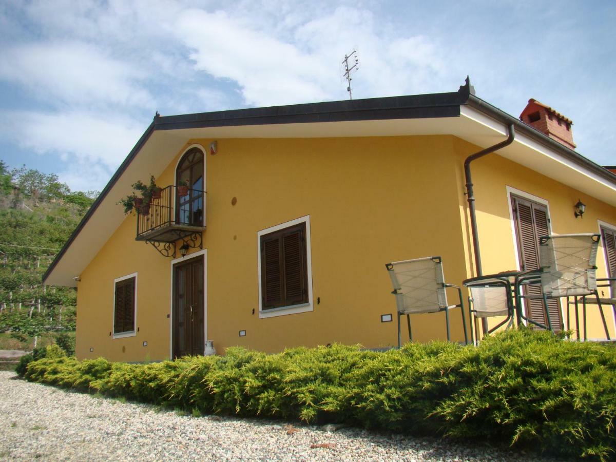 Agrialpi By Salfrutta Bed & Breakfast Bricherasio Eksteriør bilde